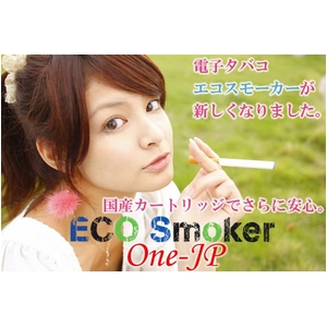エコスモーカー（ECO Smoker）ONE-JP